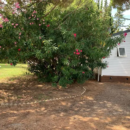 بيت للعطل Mobil + Dependance Dans Jolie Parc Prive